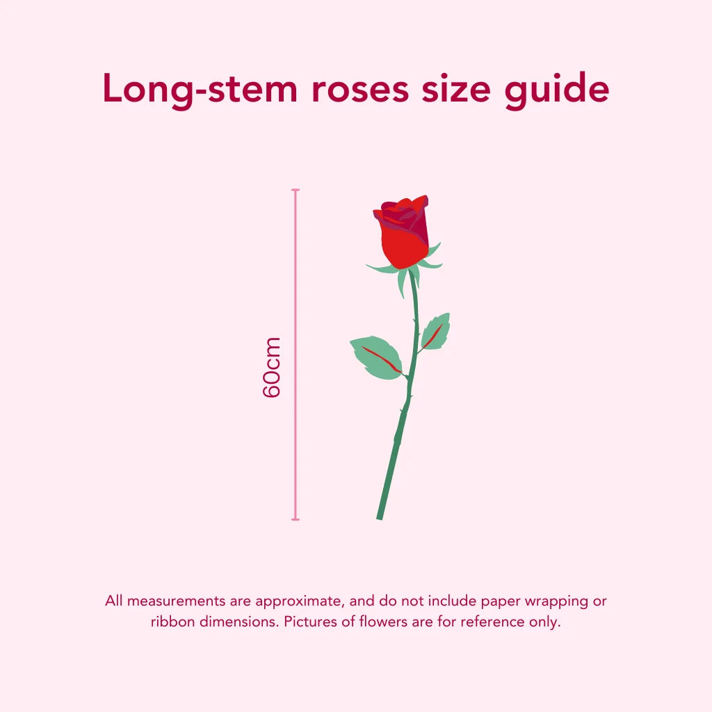 Truly, Madly Long Stem Roses